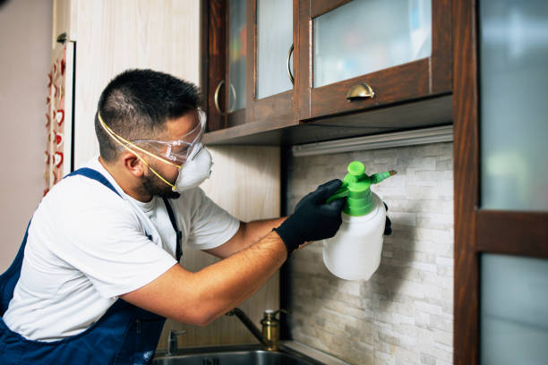 Best Pest Removal Services  in Nd Lake, WI